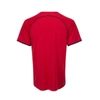 Kép 2/3 - RSL Sierra férfi tollaslabda / squash póló (piros)