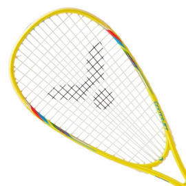 Verlating Vervoer Majestueus Victor Squash Rackets - Badminton-Depot.com | The European Badminton Store